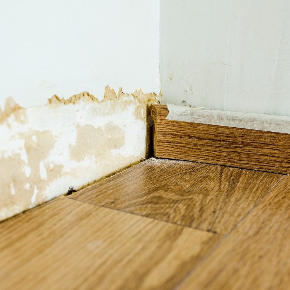 Skirting board on a wall damaged by mold.